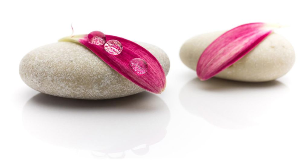 Présentation de l'Institut Silhouette au sein de la salle de sport d'Espace Forme Aurillac